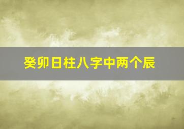 癸卯日柱八字中两个辰