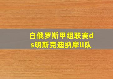 白俄罗斯甲组联赛ds明斯克迪纳摩ll队