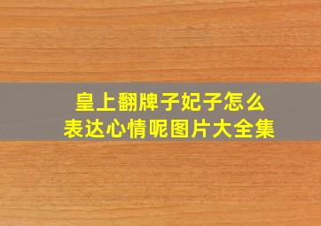 皇上翻牌子妃子怎么表达心情呢图片大全集