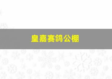 皇嘉赛鸽公棚