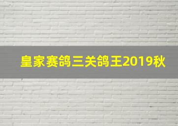 皇家赛鸽三关鸽王2019秋