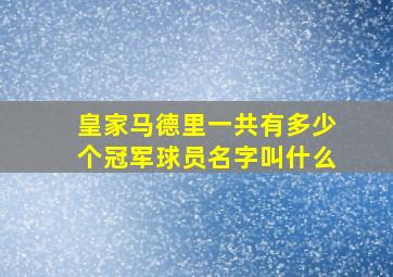 皇家马德里一共有多少个冠军球员名字叫什么