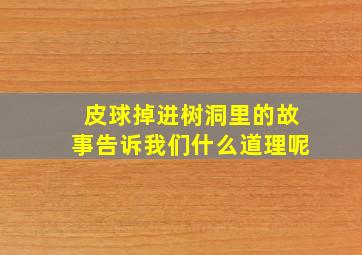 皮球掉进树洞里的故事告诉我们什么道理呢