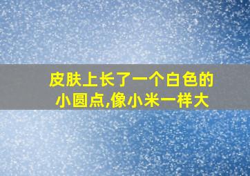 皮肤上长了一个白色的小圆点,像小米一样大