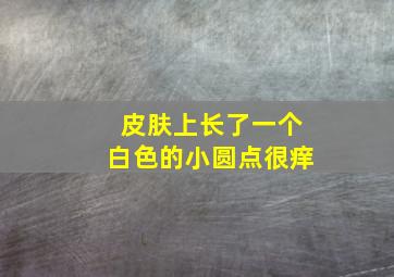 皮肤上长了一个白色的小圆点很痒