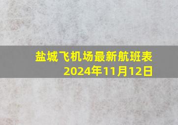 盐城飞机场最新航班表2024年11月12日