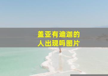 盖亚有迪迦的人出现吗图片