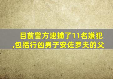 目前警方逮捕了11名嫌犯,包括行凶男子安佐罗夫的父