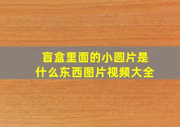 盲盒里面的小圆片是什么东西图片视频大全