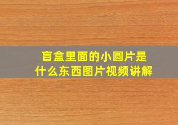 盲盒里面的小圆片是什么东西图片视频讲解