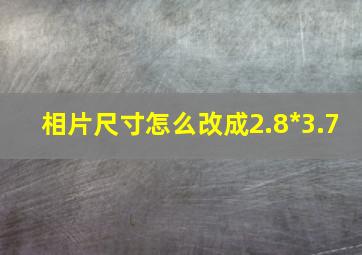 相片尺寸怎么改成2.8*3.7