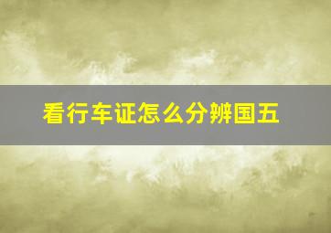 看行车证怎么分辨国五