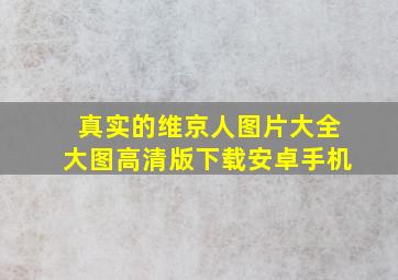 真实的维京人图片大全大图高清版下载安卓手机