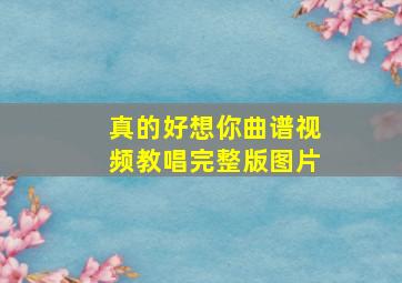 真的好想你曲谱视频教唱完整版图片