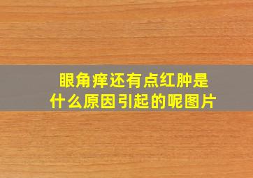 眼角痒还有点红肿是什么原因引起的呢图片