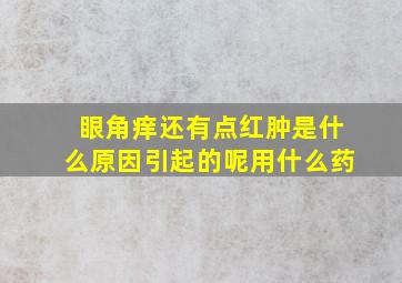 眼角痒还有点红肿是什么原因引起的呢用什么药