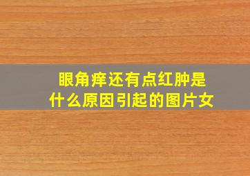 眼角痒还有点红肿是什么原因引起的图片女