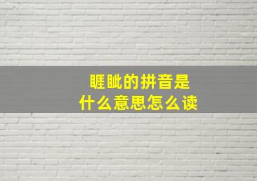 睚眦的拼音是什么意思怎么读