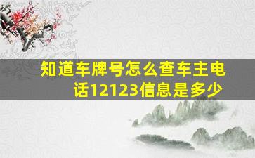 知道车牌号怎么查车主电话12123信息是多少