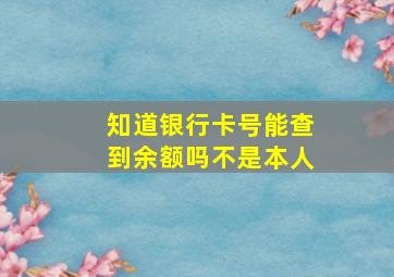 知道银行卡号能查到余额吗不是本人