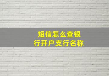 短信怎么查银行开户支行名称