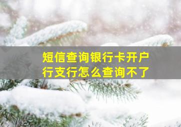 短信查询银行卡开户行支行怎么查询不了