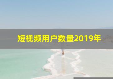 短视频用户数量2019年