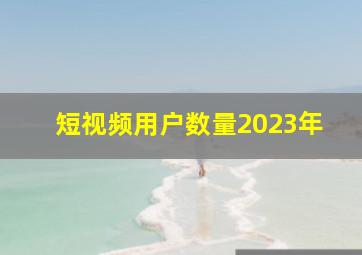 短视频用户数量2023年