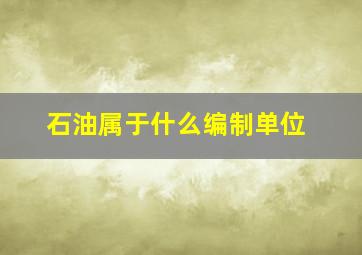 石油属于什么编制单位