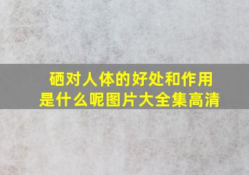 硒对人体的好处和作用是什么呢图片大全集高清