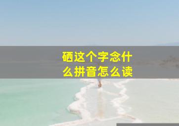 硒这个字念什么拼音怎么读