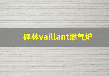 碑林vaillant燃气炉