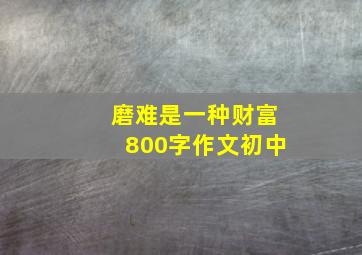 磨难是一种财富800字作文初中