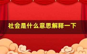 社会是什么意思解释一下