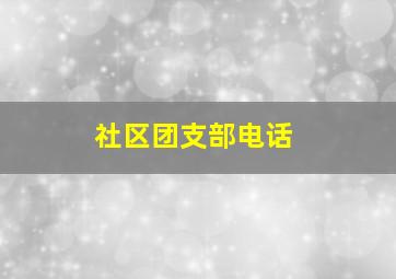 社区团支部电话