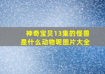 神奇宝贝13集的怪兽是什么动物呢图片大全