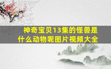 神奇宝贝13集的怪兽是什么动物呢图片视频大全