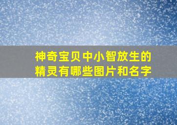 神奇宝贝中小智放生的精灵有哪些图片和名字