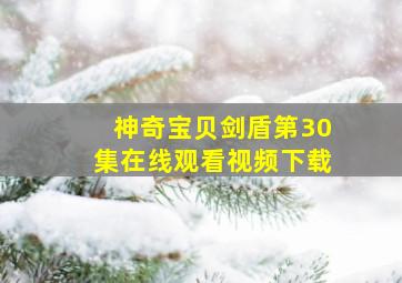 神奇宝贝剑盾第30集在线观看视频下载