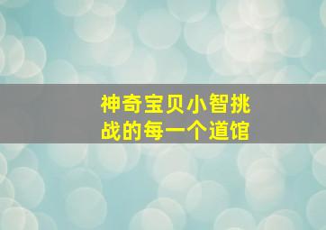 神奇宝贝小智挑战的每一个道馆