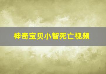 神奇宝贝小智死亡视频