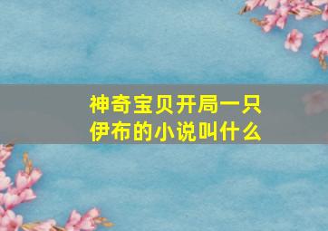 神奇宝贝开局一只伊布的小说叫什么