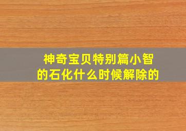 神奇宝贝特别篇小智的石化什么时候解除的