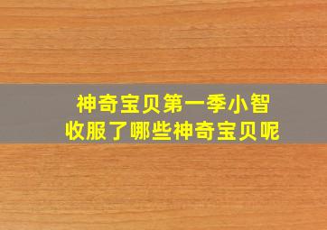 神奇宝贝第一季小智收服了哪些神奇宝贝呢