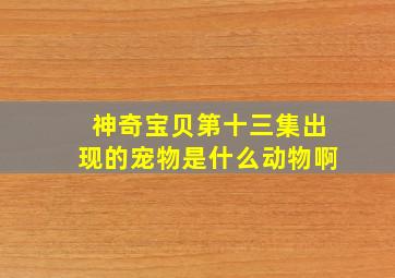 神奇宝贝第十三集出现的宠物是什么动物啊