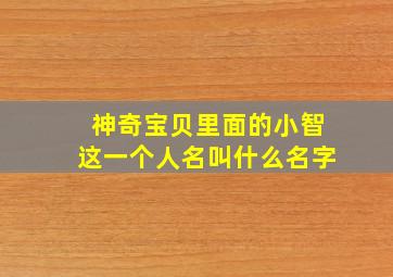 神奇宝贝里面的小智这一个人名叫什么名字