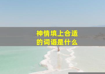 神情填上合适的词语是什么