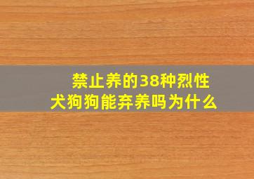 禁止养的38种烈性犬狗狗能弃养吗为什么