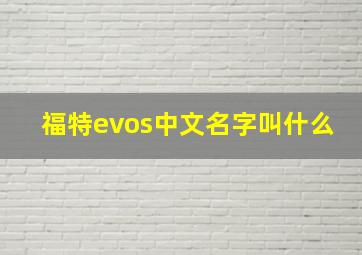 福特evos中文名字叫什么