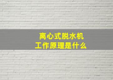 离心式脱水机工作原理是什么